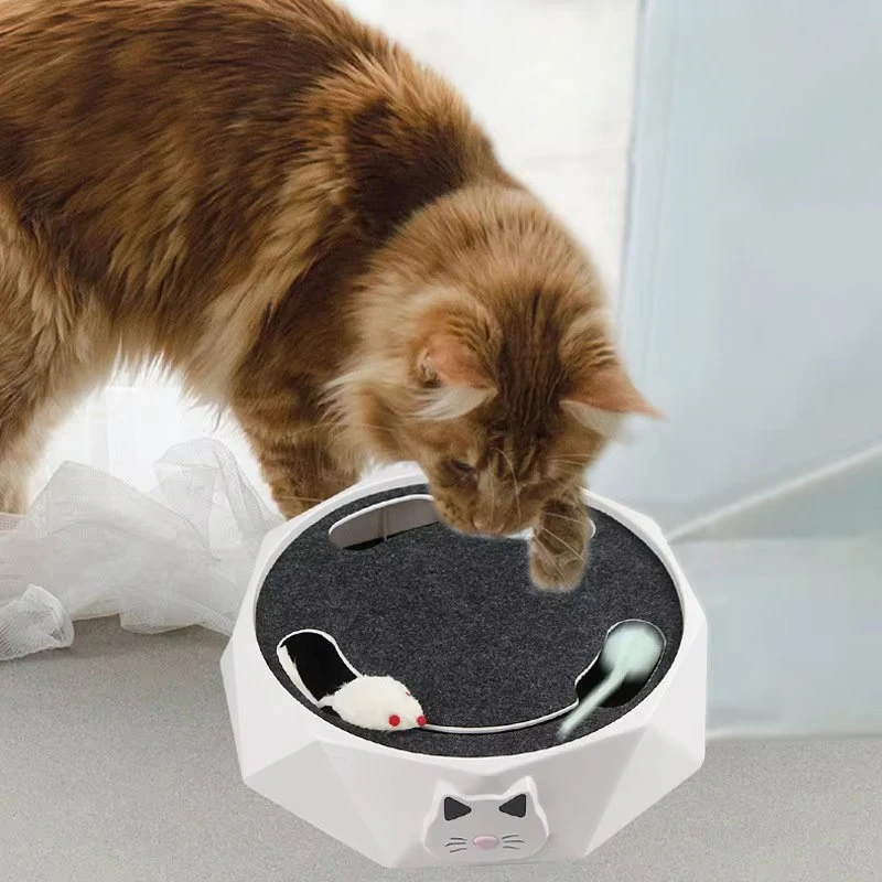 Mouse Chase Cat Toy