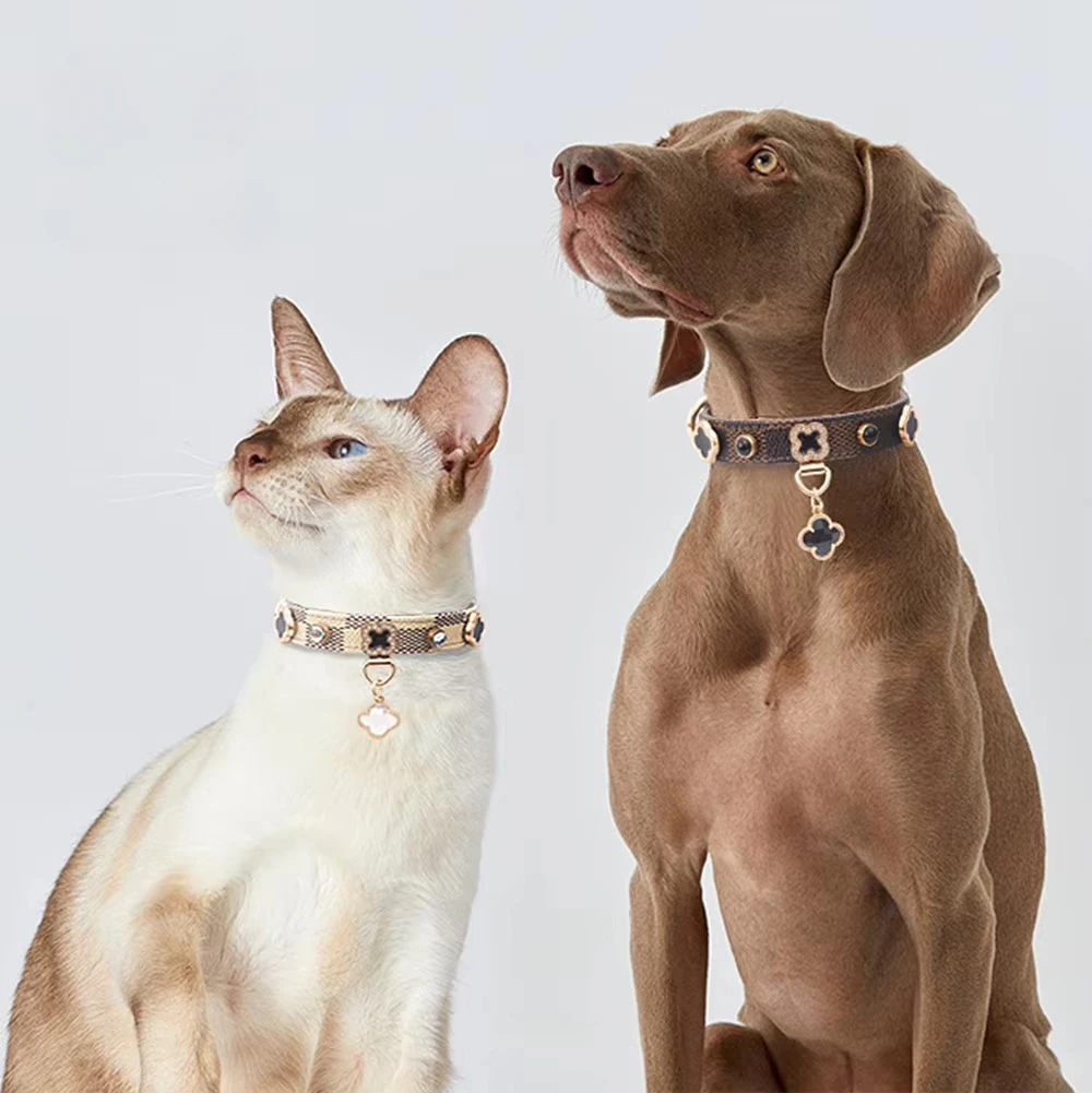 Luxe Studded Pet Collar