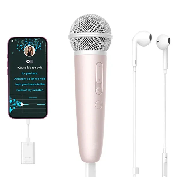 Karaoke Mic Set