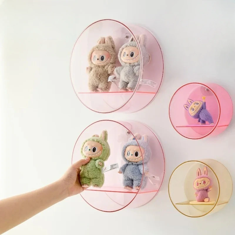 Collectable Wall Display Case