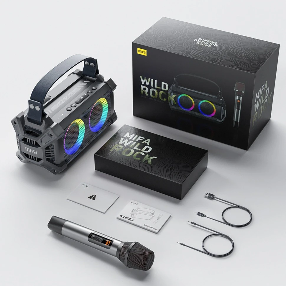 Portable Bluetooth Karaoke