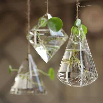 Terrarium Flower Vase