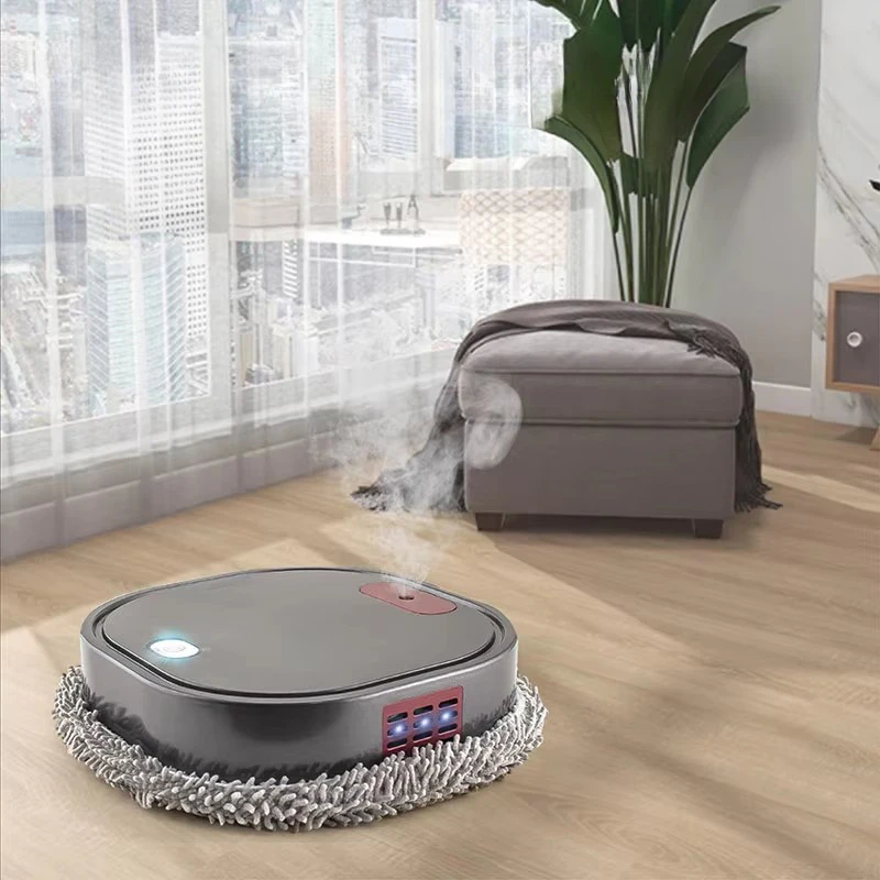 Intelligent Mopping Robot