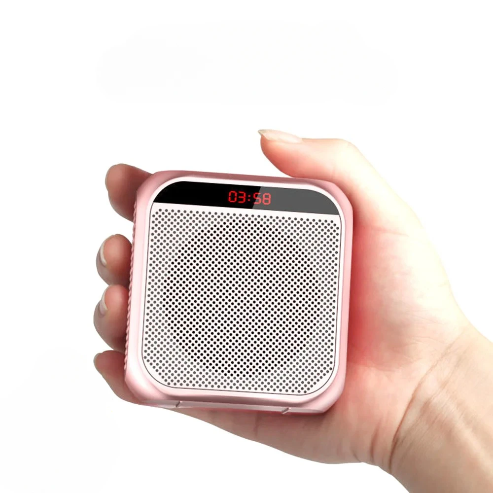 Portable Voice Amplifier
