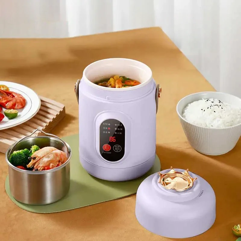 Compact Multifunctional Cooker