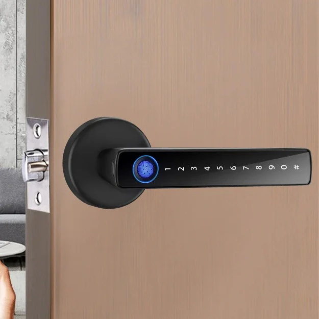 Fingerprint Handle Lock