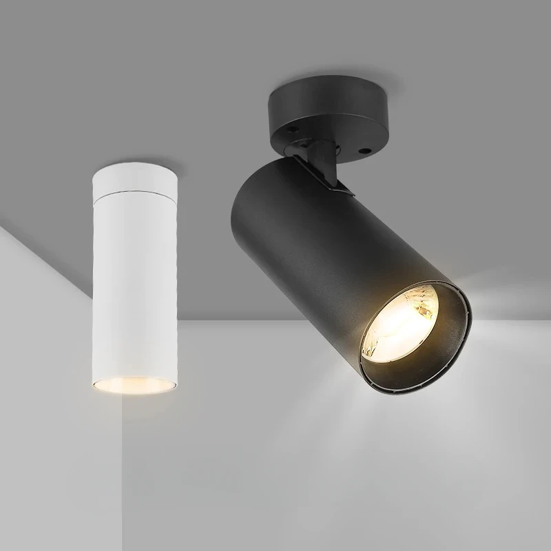 Surface Mounted Downlight