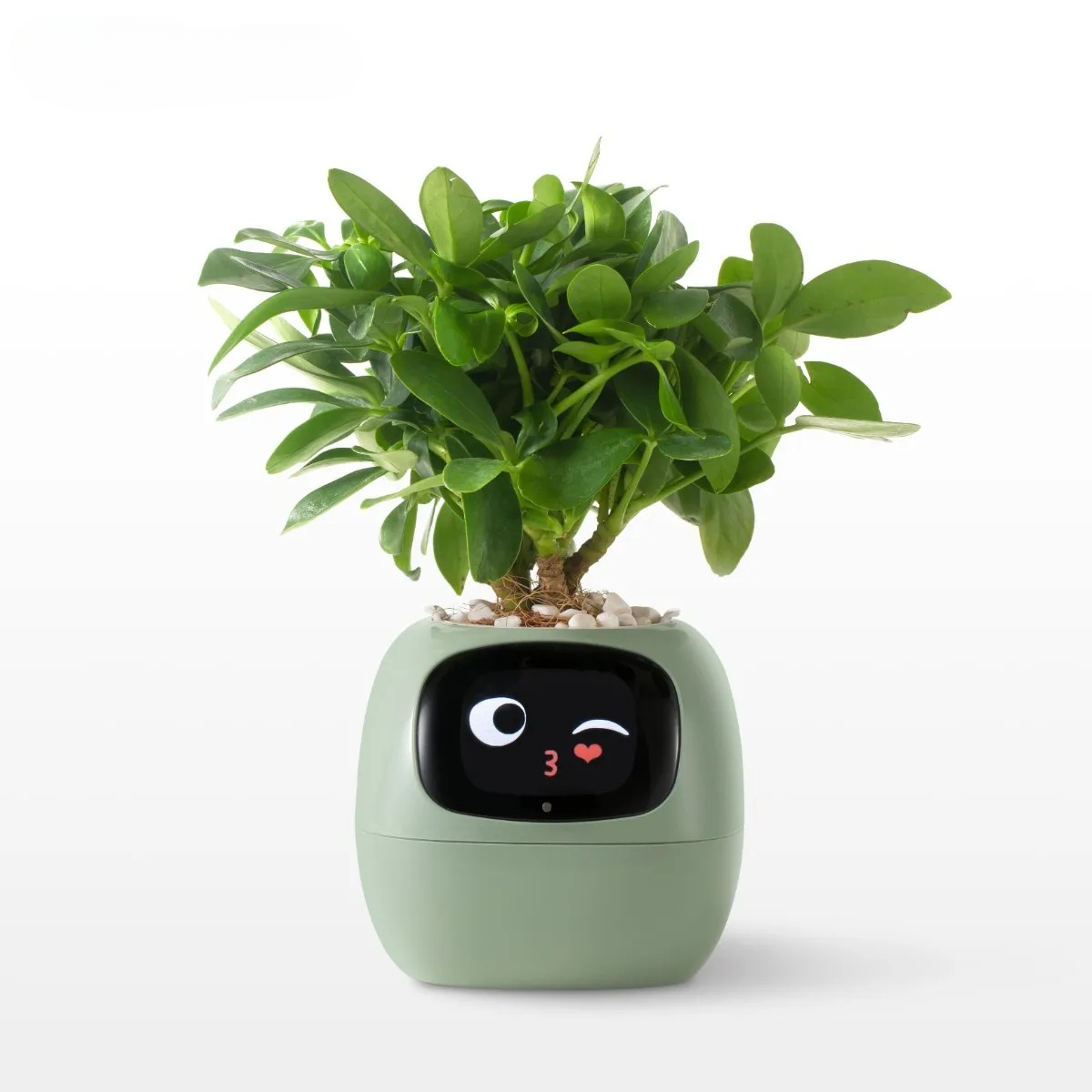 Smart Robot Planter