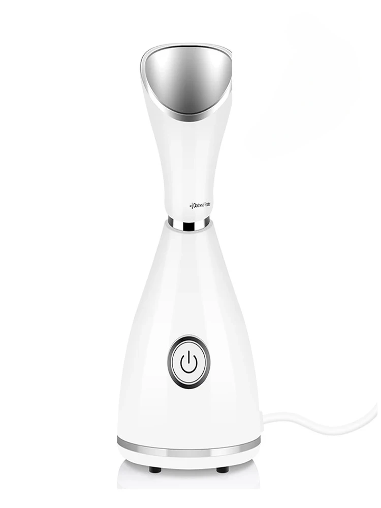 Compact Nano Mist Steamer