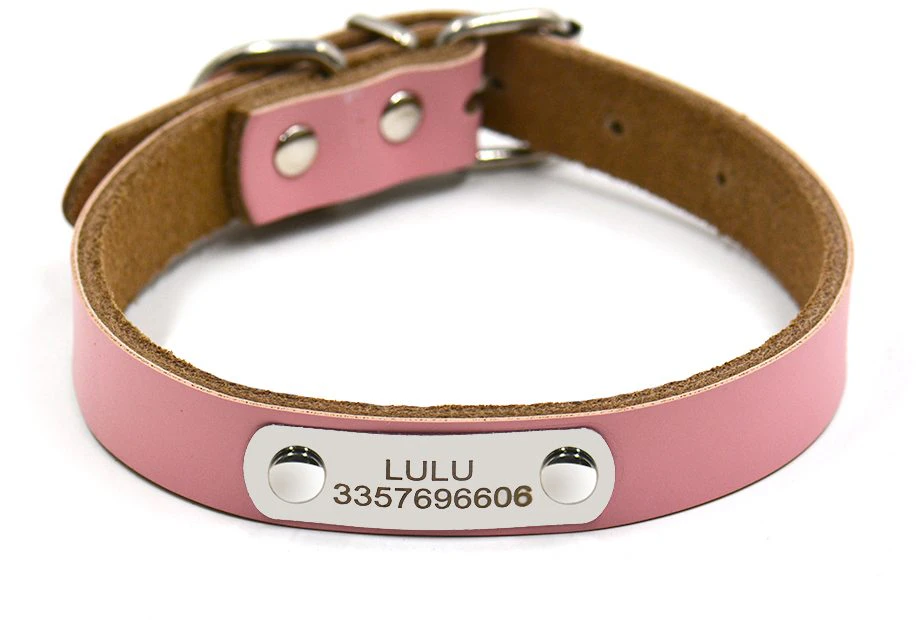 Custom Engraved Dog Collar