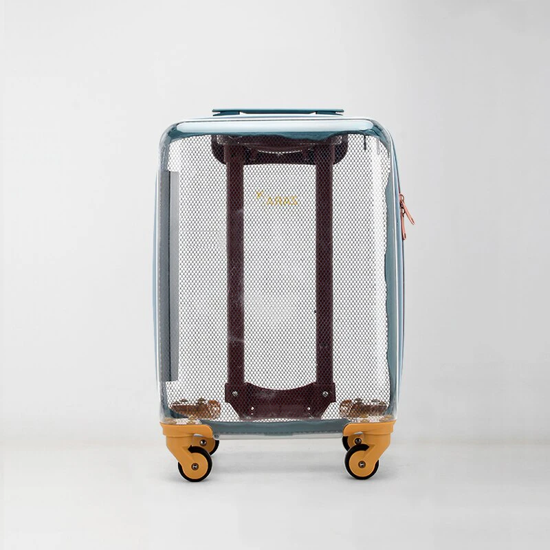 Kids Transparent Roller Suitcase