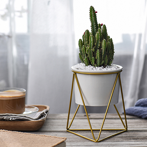 Geometric Plant Stand with Ceramic Pot