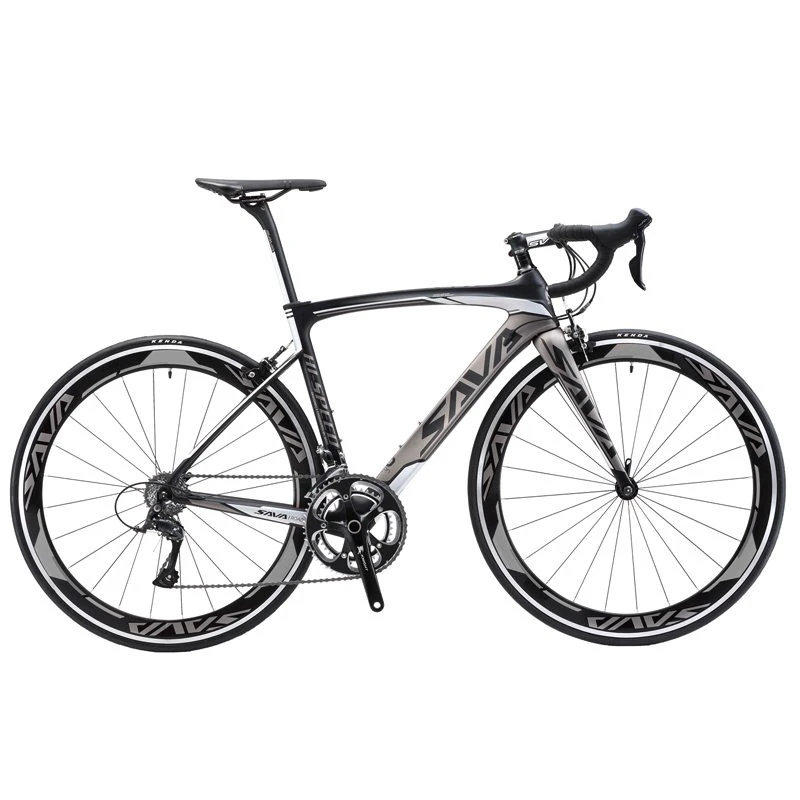 Carbon Fiber Road Bike