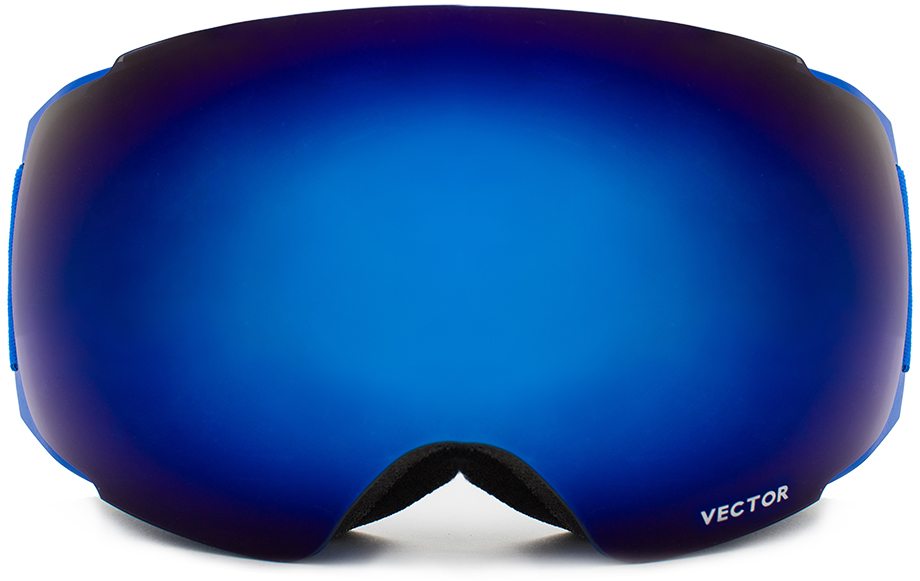 Anti-fog Ski Goggles