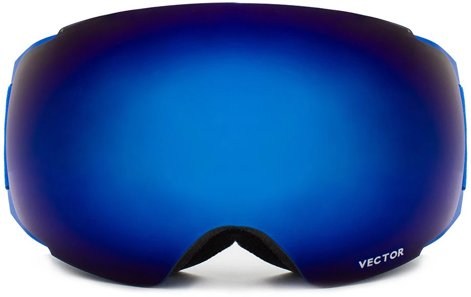 Anti-fog Ski Goggles