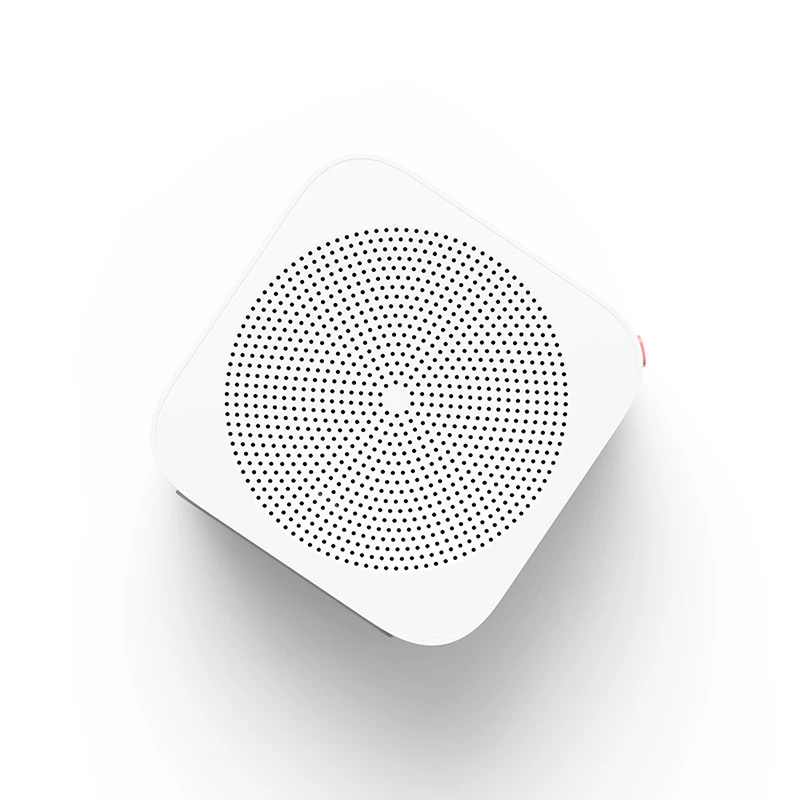 Portable Mini Radio