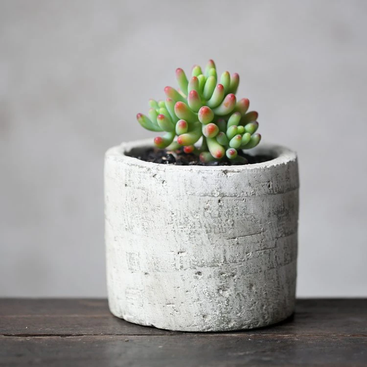 Ceramic Plant Pot