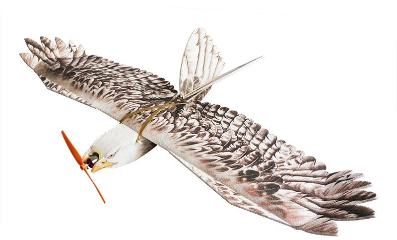 RC Flying Eagle