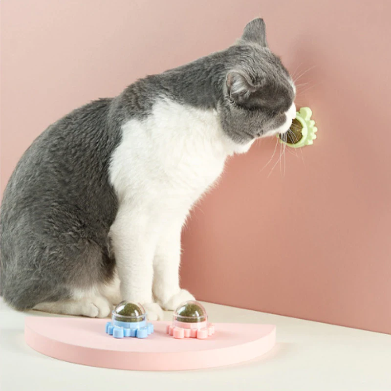 Mounted Catnip Roller Toy
