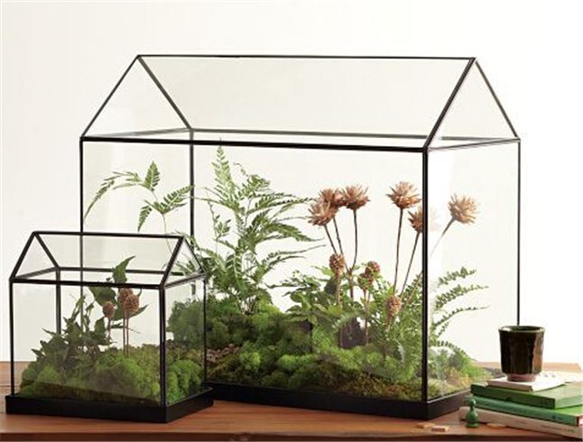 Glass Green House Terrarium