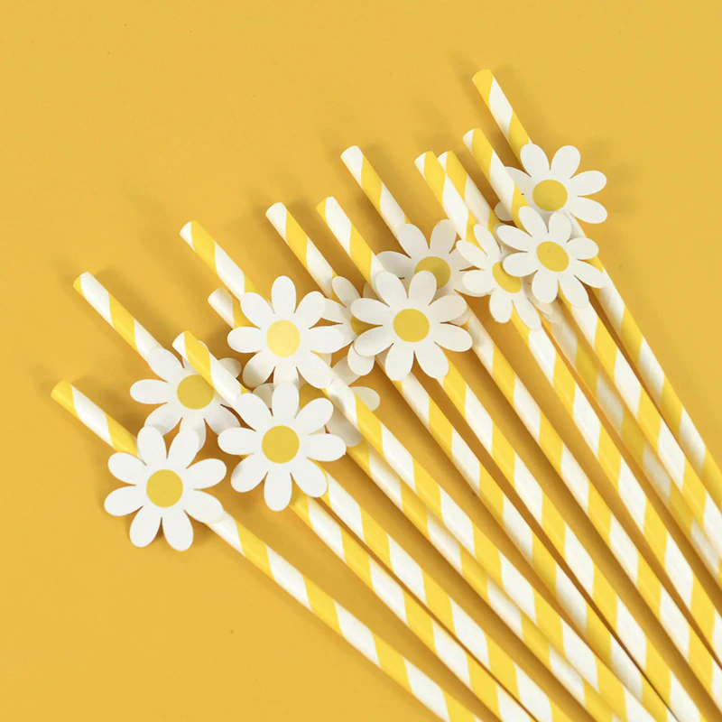 Daisy Paper Straw Party Pack