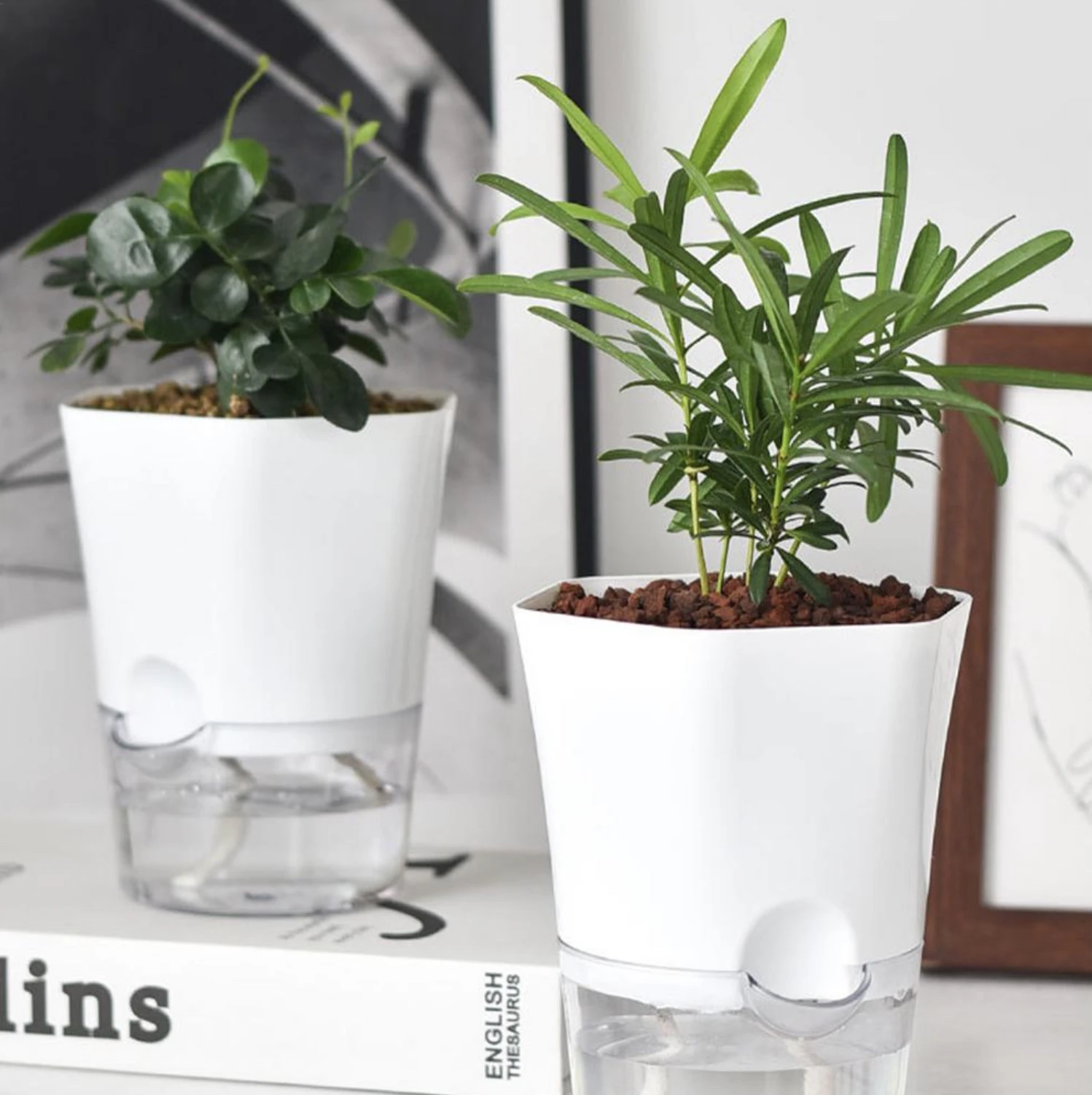 Self Watering Plant Pot