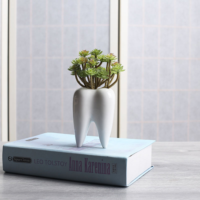 Tooth Succulent Pot