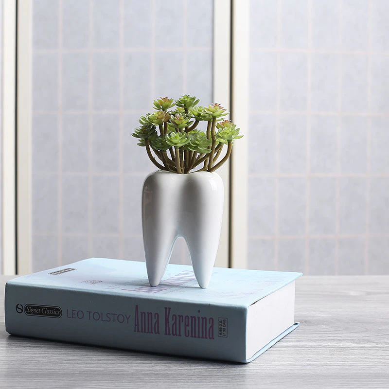 Tooth Succulent Pot