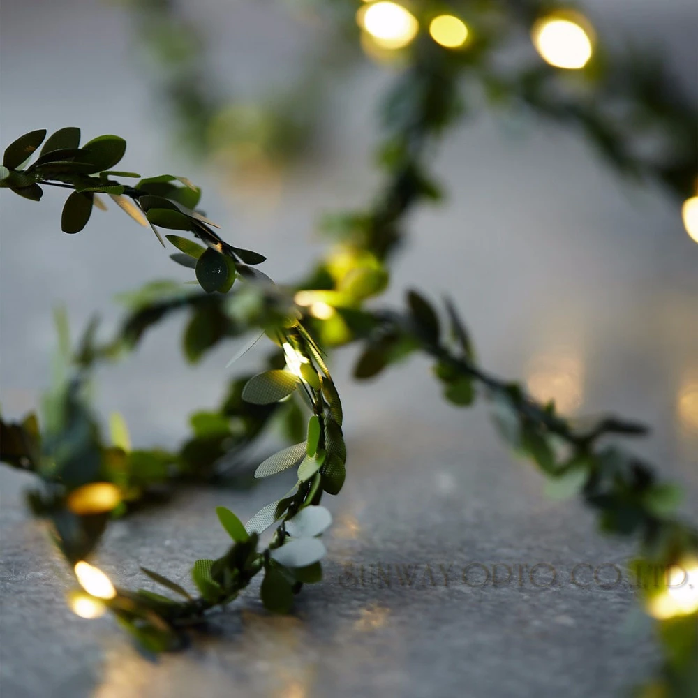 Fairy Light Vine