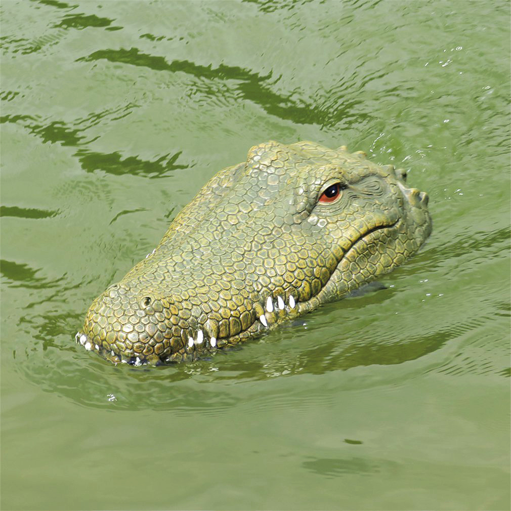 Remote Control Floating Crocodile