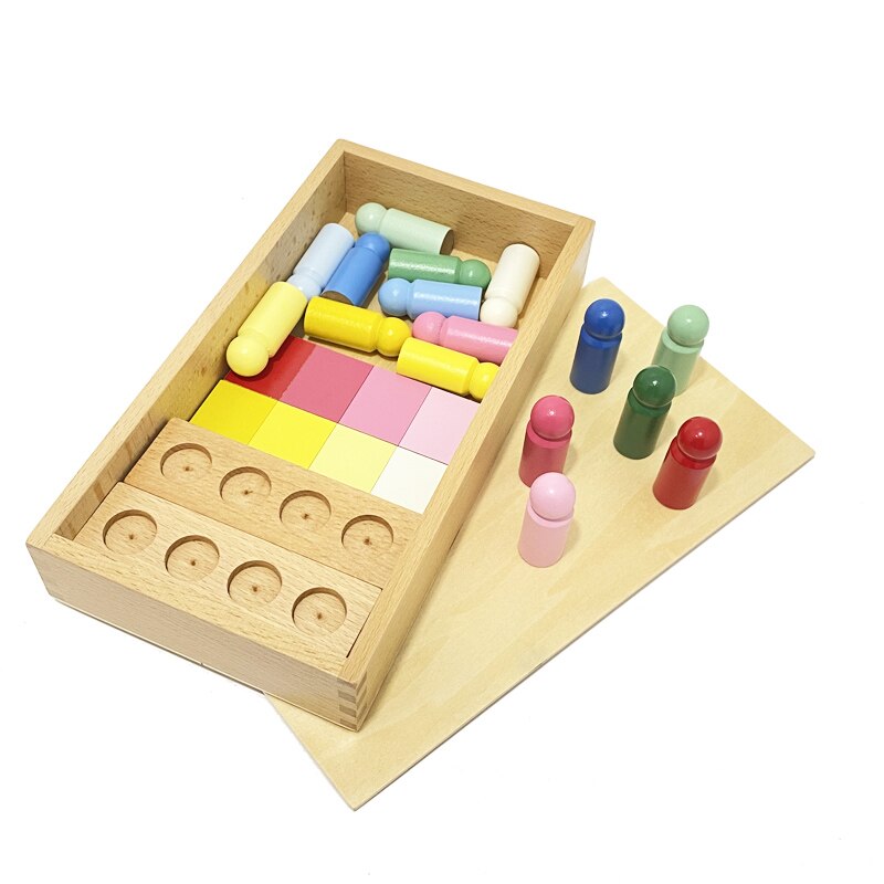 Montessori Sorting Toy