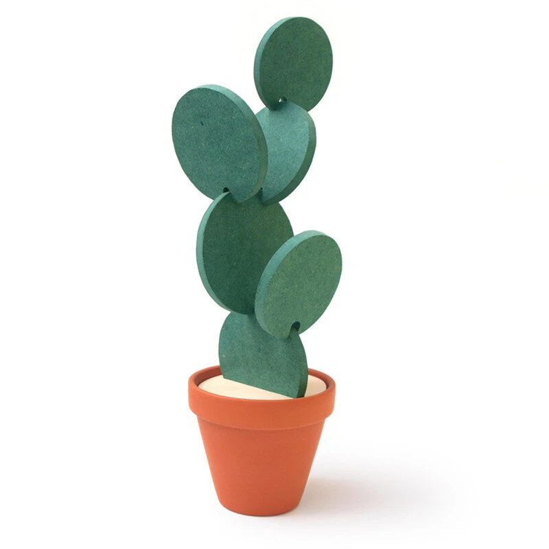 Cactus Coaster Set