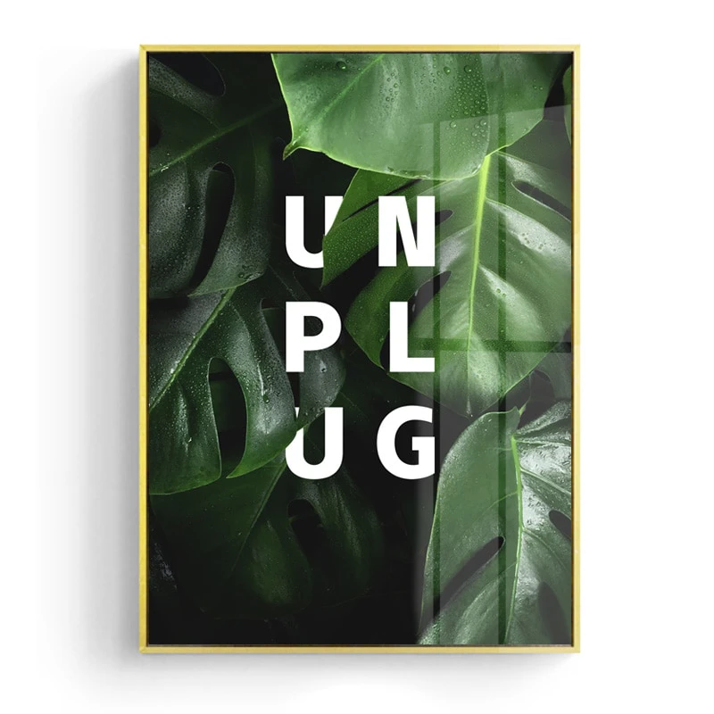 Unplug Cavas Print