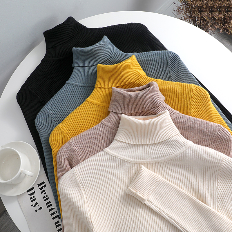 Womens Basics Knit Turtle Neck