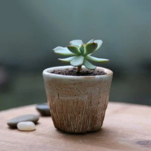 Coarse Ceramic Pot