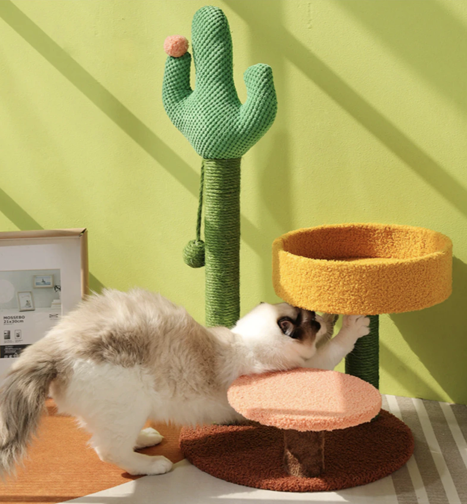 cactus-scratching-post-82jdE9503pyL2XJwcB5S.png