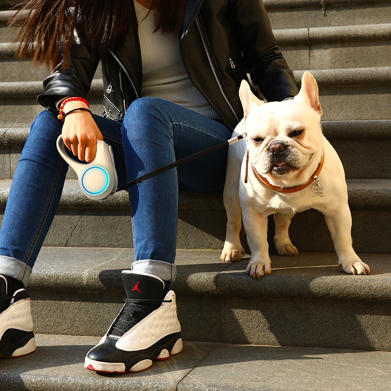 petkit led glow detachable leash