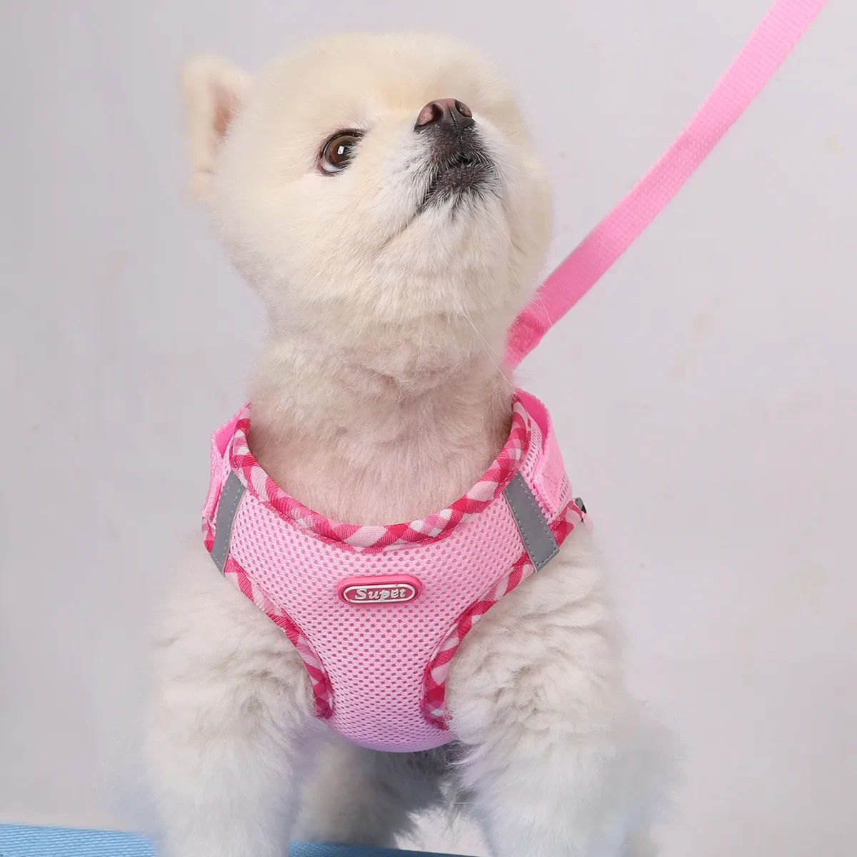 Small Pet Harness