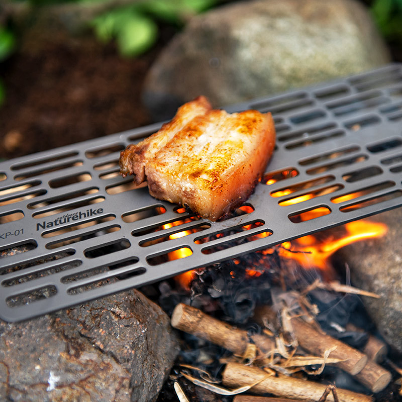 Camping discount grill plate