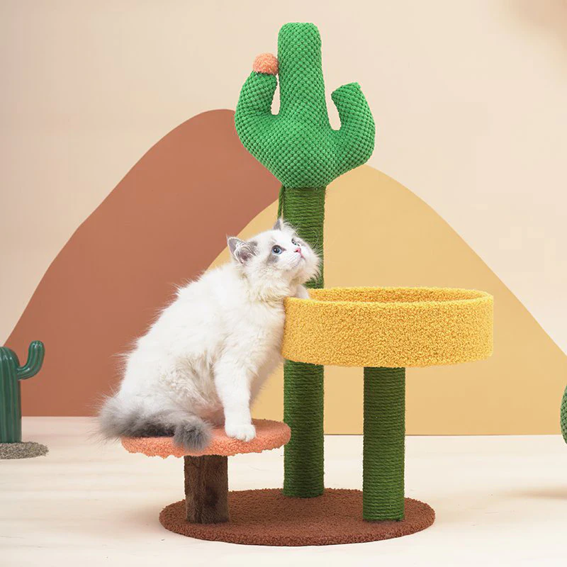 Cactus Scratching Post