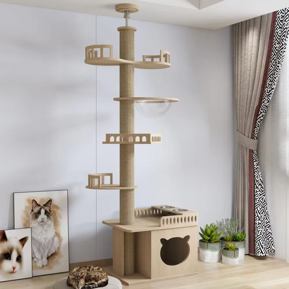 Cat Climbing Tree