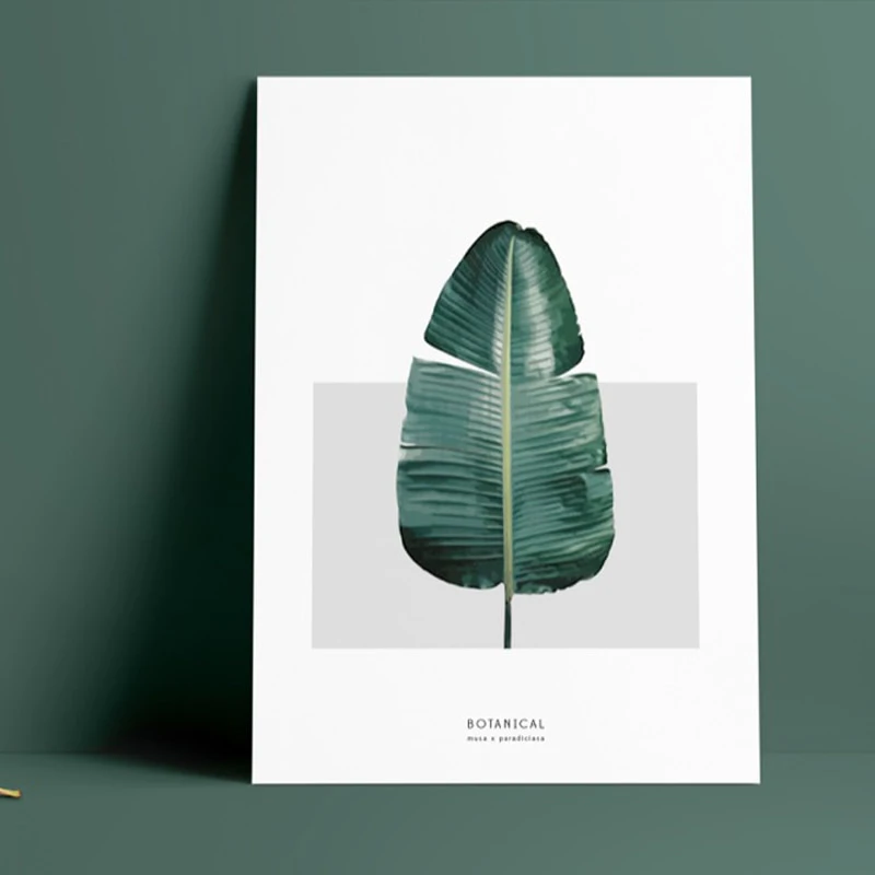 Banana Leaf Canvas Print