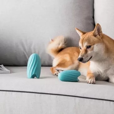 Silicon Treat Dog Toy