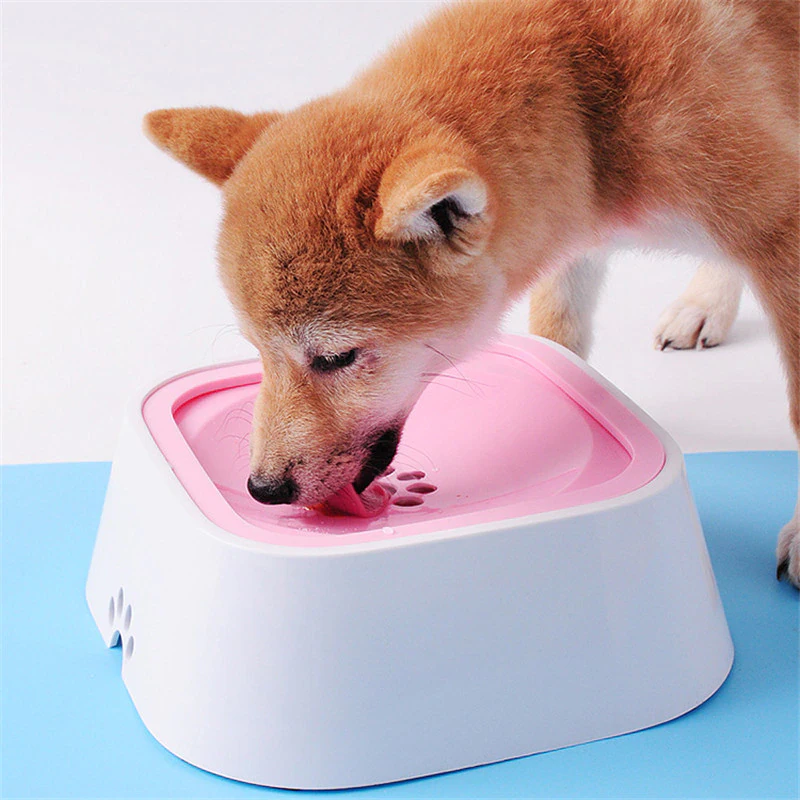 Splash Proof Pet Water Bowl