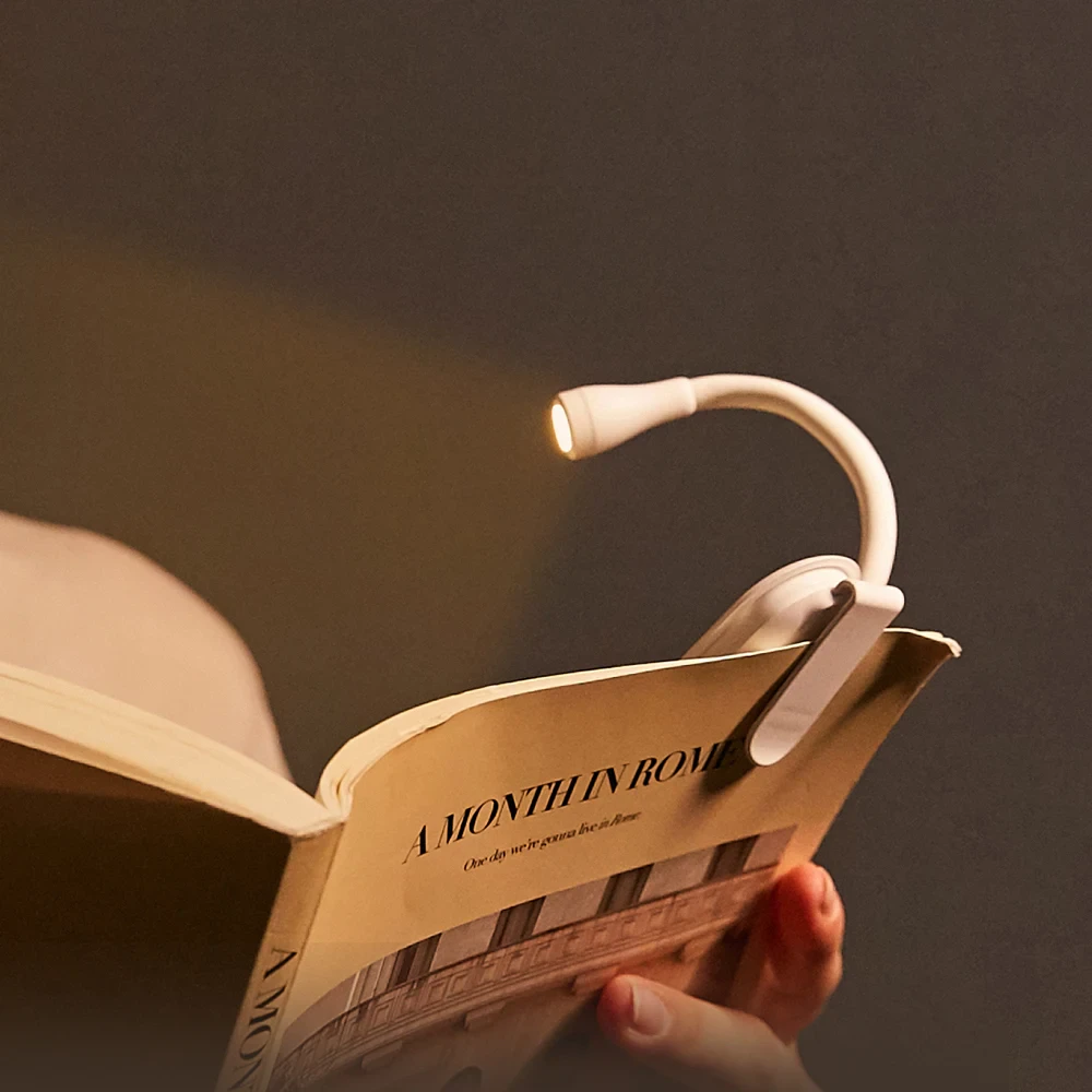 Portable Book Lamp