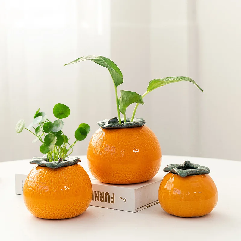 Hydroponic Orange Vase