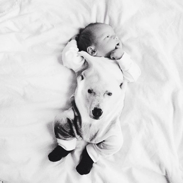 Baby Polar Bear Monochromeromper