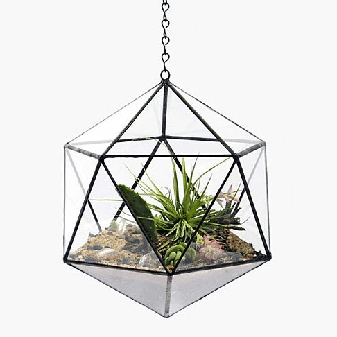 Suspended Glass Tetra Terrarium Vase