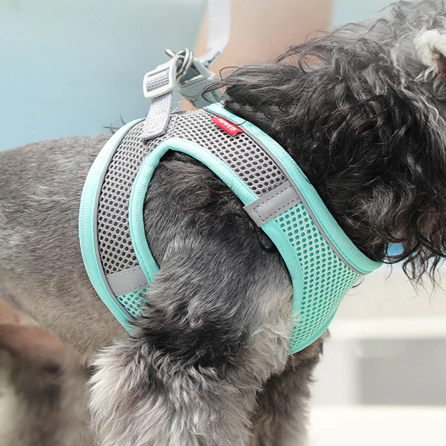 Breathable Dog Harness