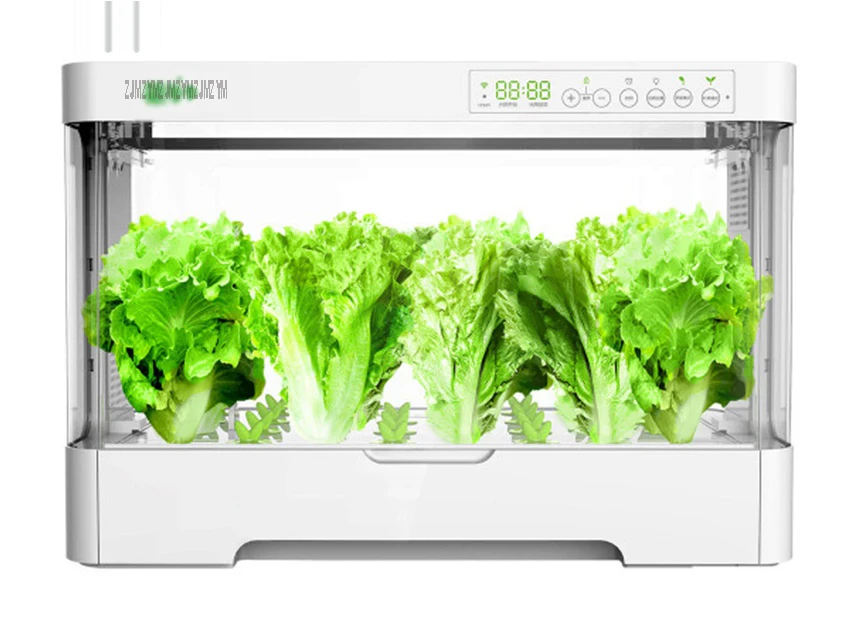 Desktop Vegetable Plant Grower